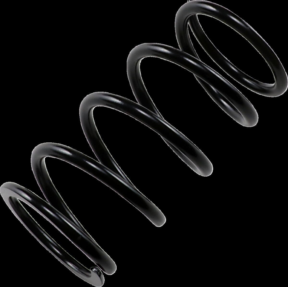 Primary Clutch Spring