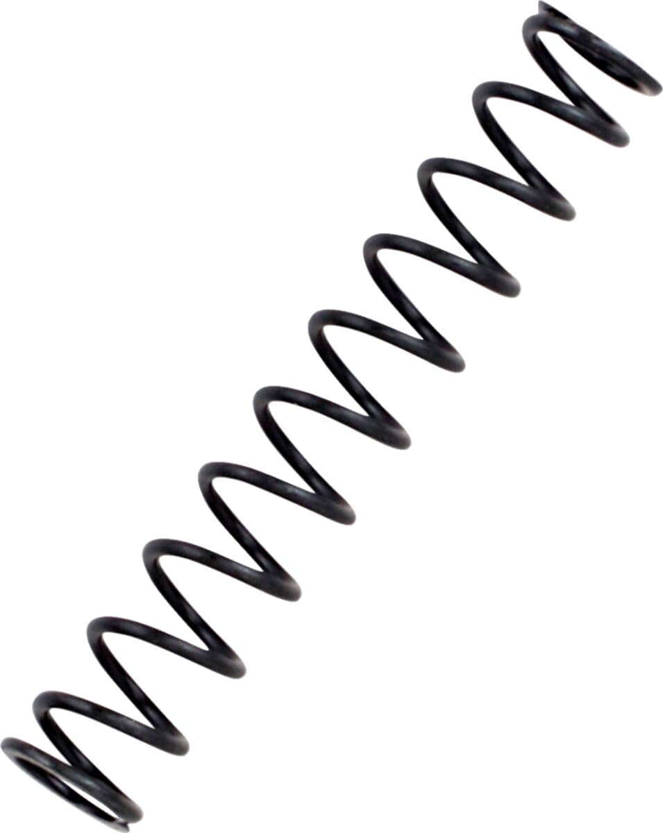 Pressure Relief Valve, Springs and Plunger