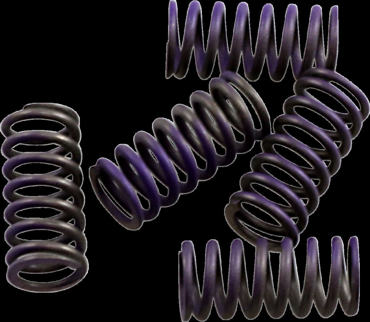 Hi-Temp Clutch Spring Kit