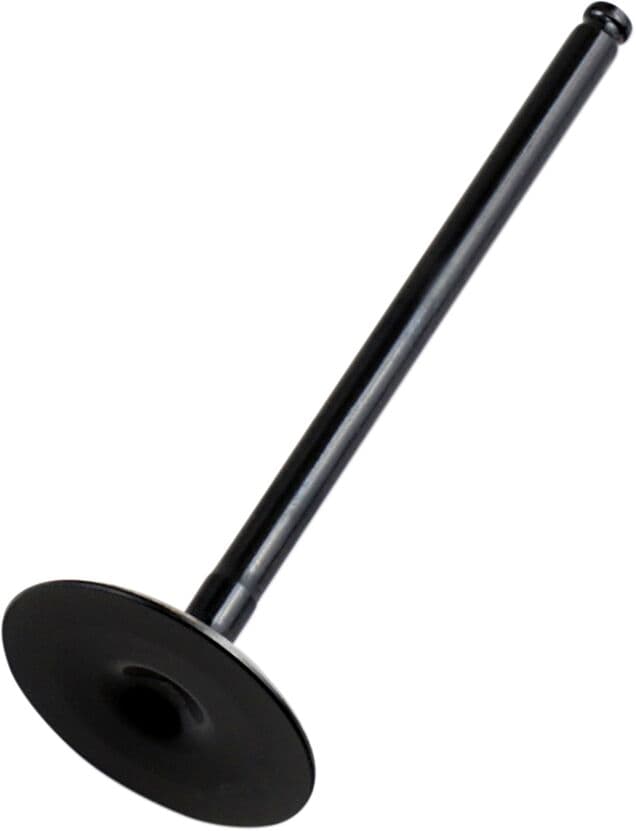 Replacement Valve