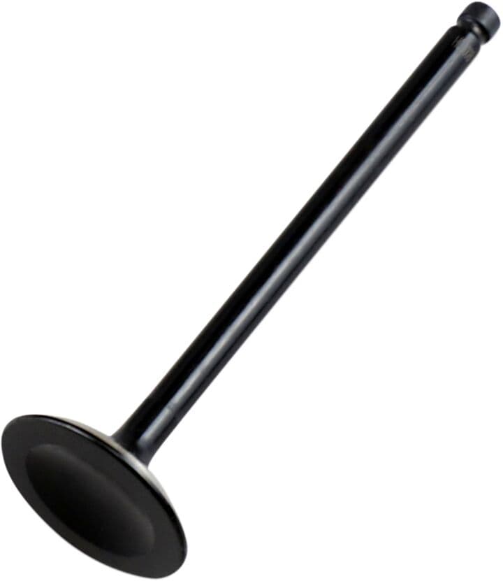 Replacement Valve