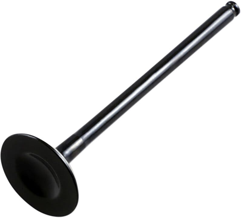 Replacement Valve