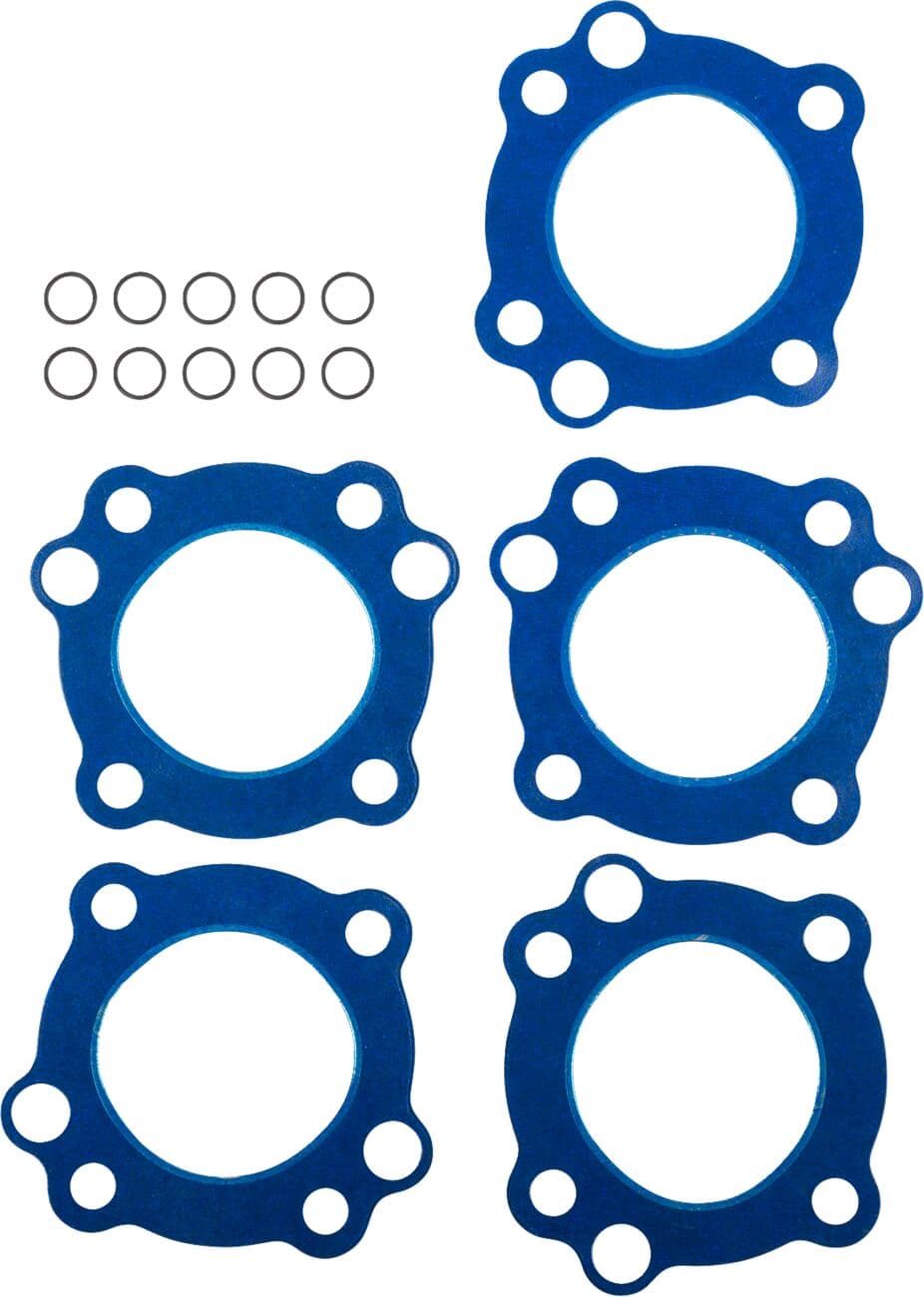 Cylinder Head Gasket/O-Rings