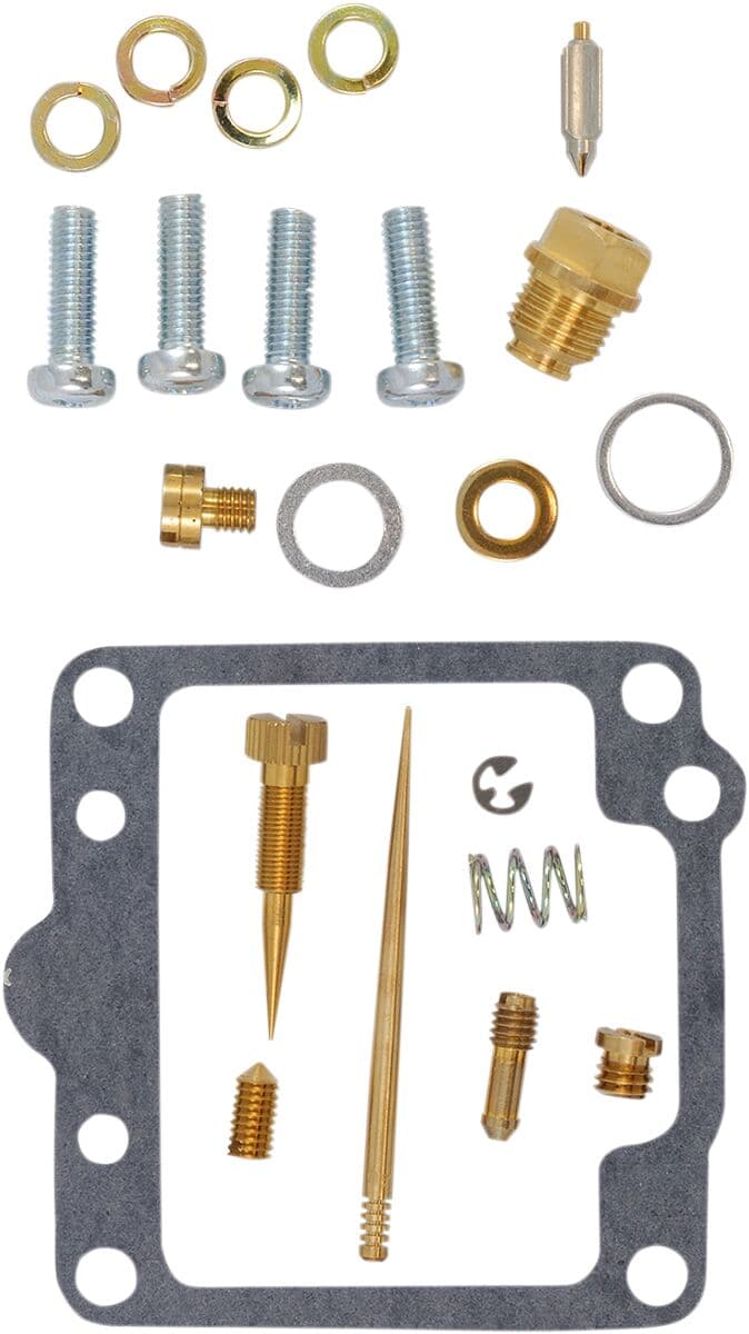 Carburetor Repair Kit