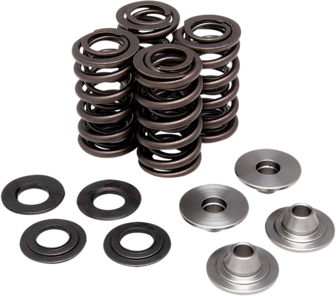 Valve Spring Kit