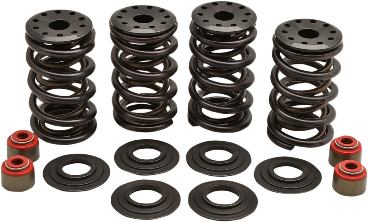 Racing Valve Spring Kit