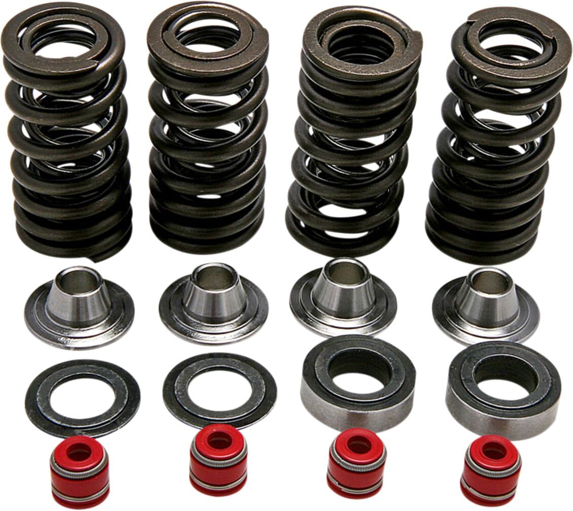 Valve Spring Kit