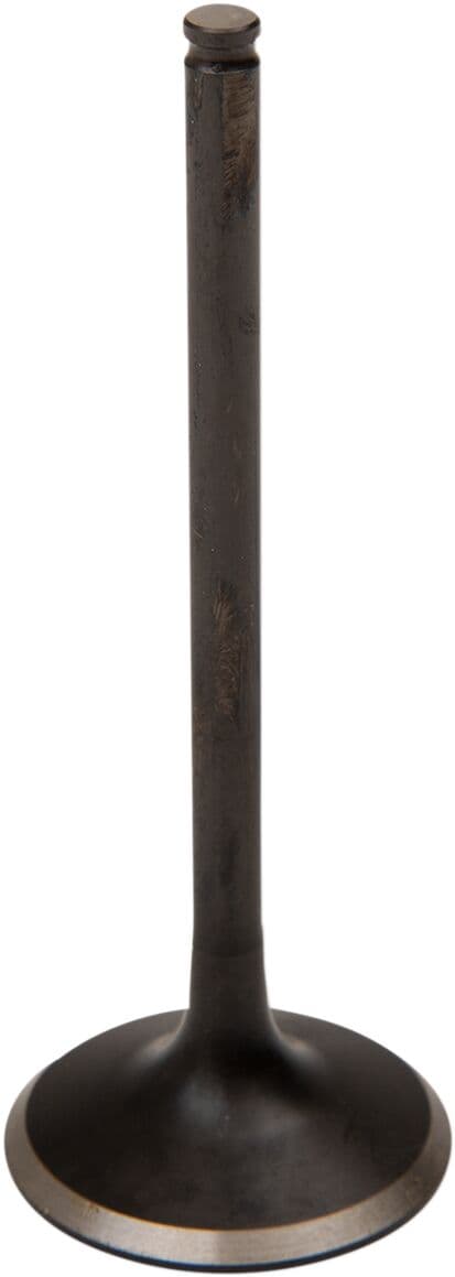 Black Diamond™ Engine Valve