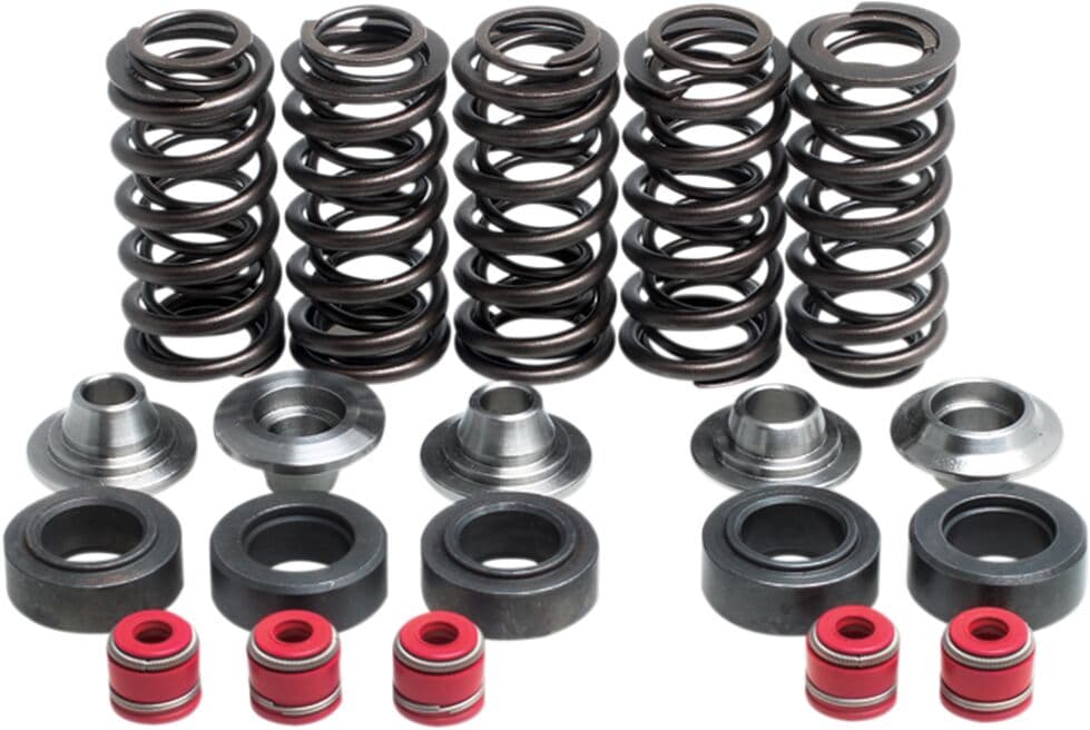 Valve Spring Kit
