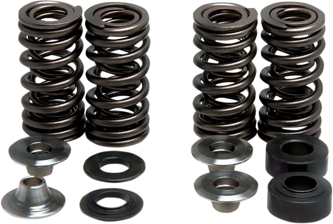 Valve Spring Kit