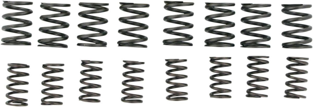 Valve Springs