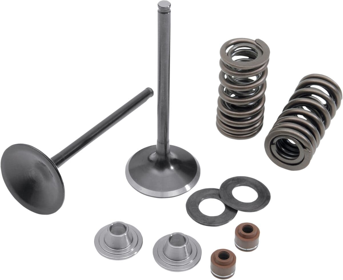 Intake Stainless Conversion Valve and Spring Kit
