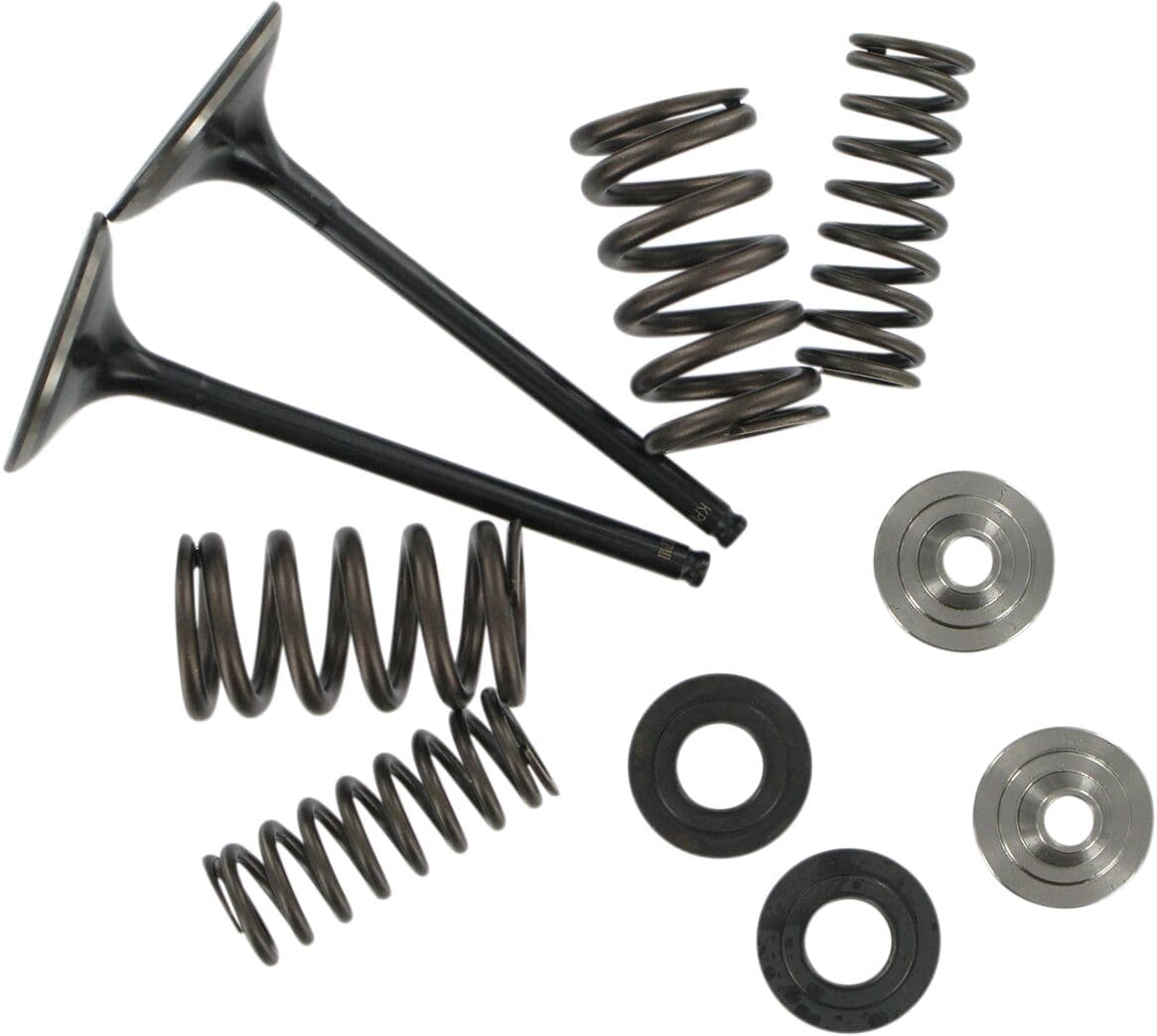 Intake Stainless Conversion Valve and Spring Kit