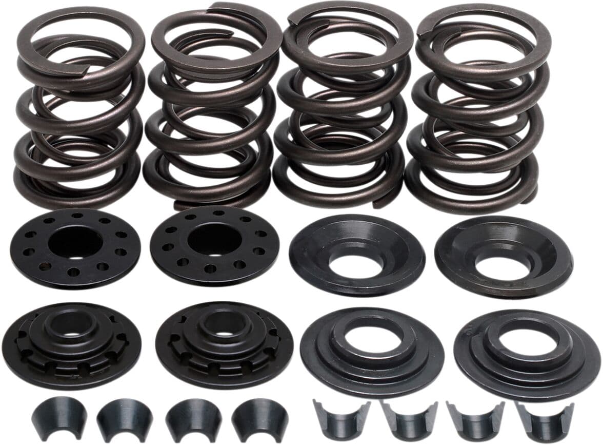 Racing Valve Spring Kit