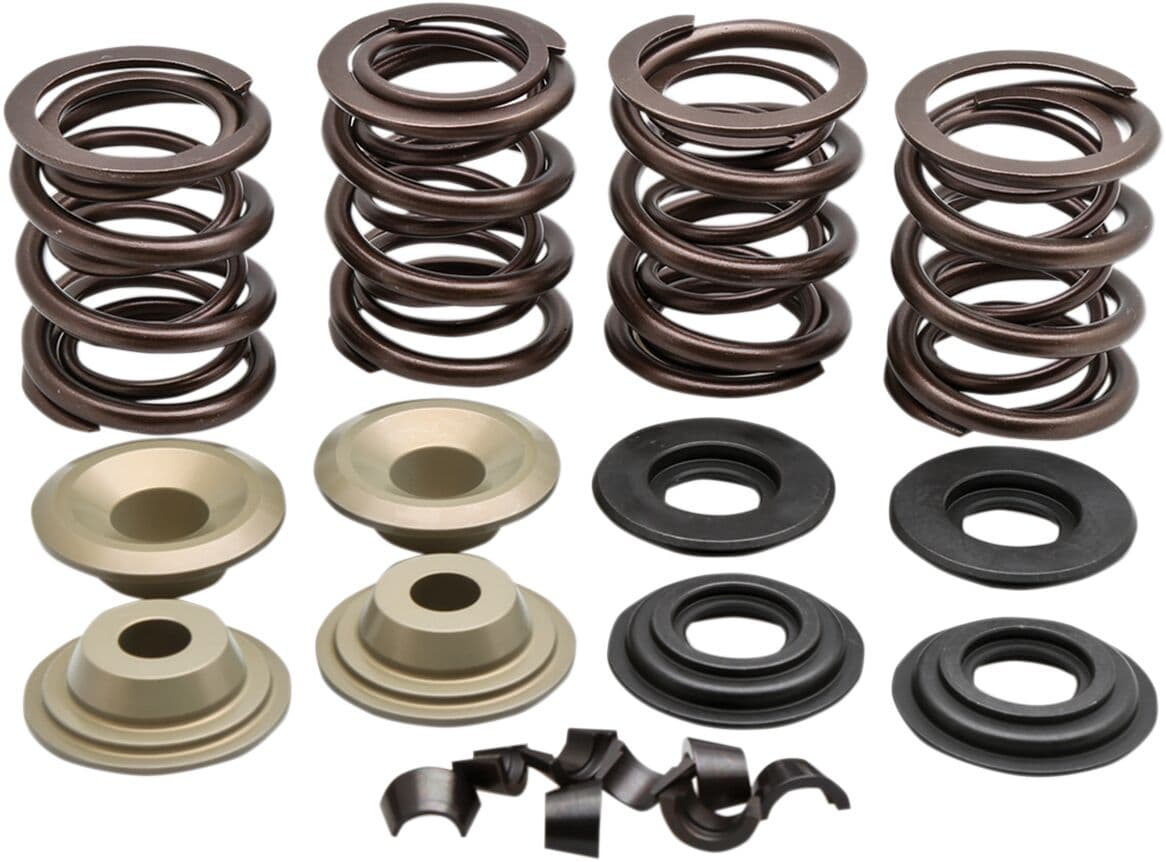 Racing Valve Spring Kit