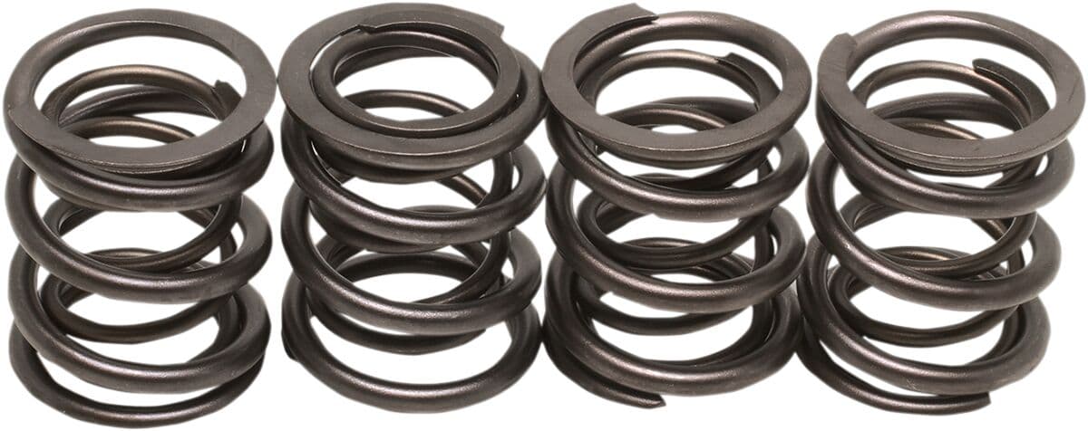 Valve Spring Kit