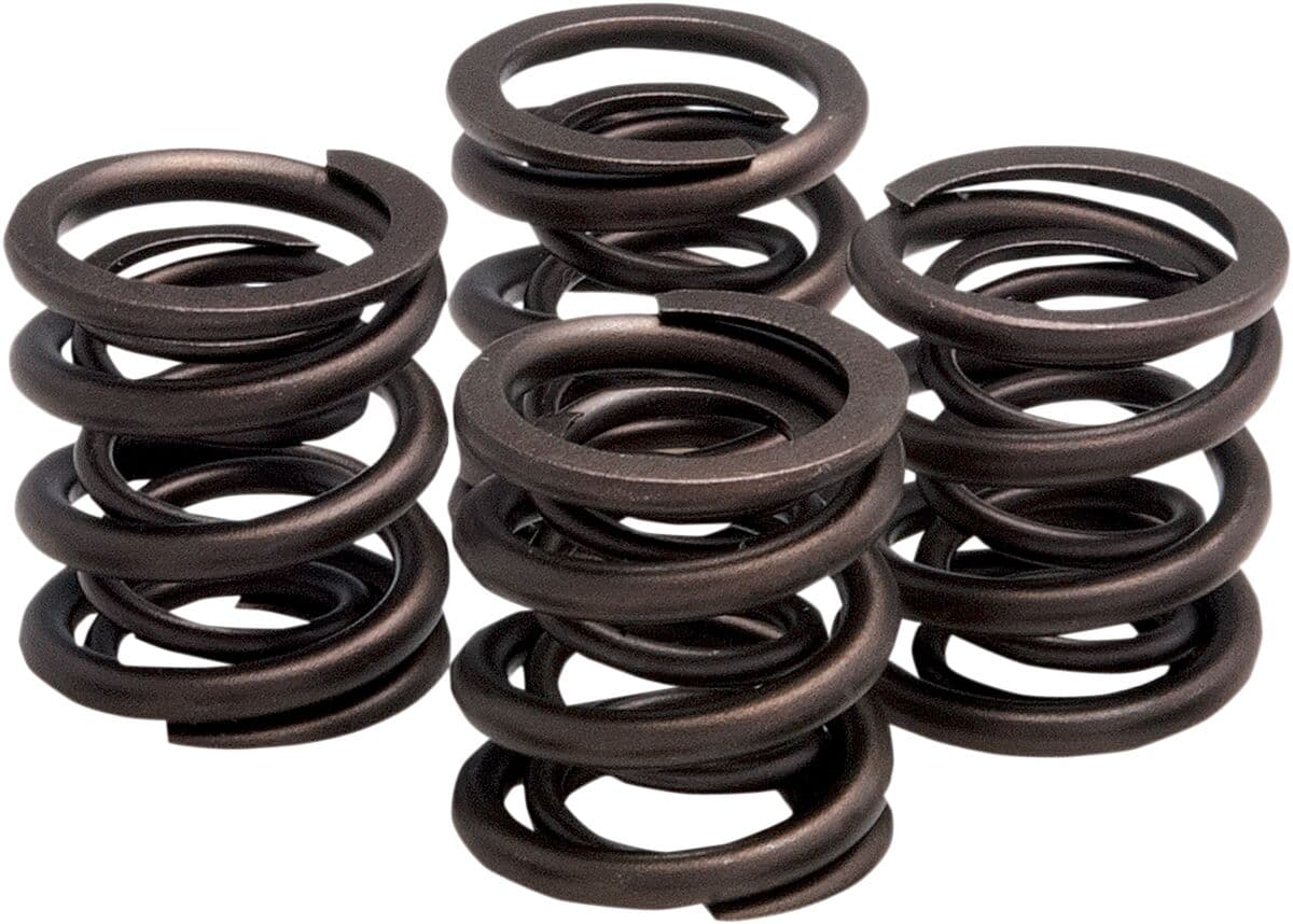 Valve Spring Kit