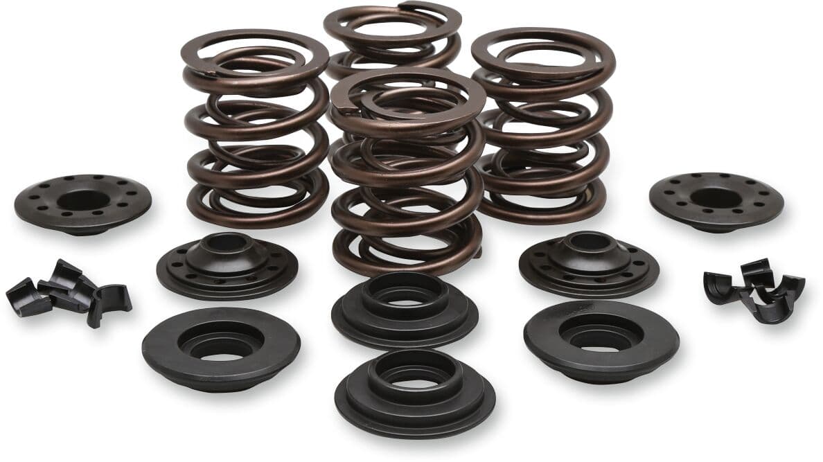 OEM Replacement Valve Spring Kit
