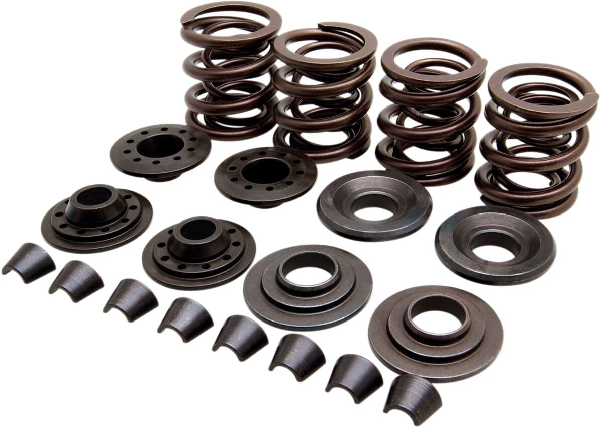 OEM Replacement Valve Spring Kit