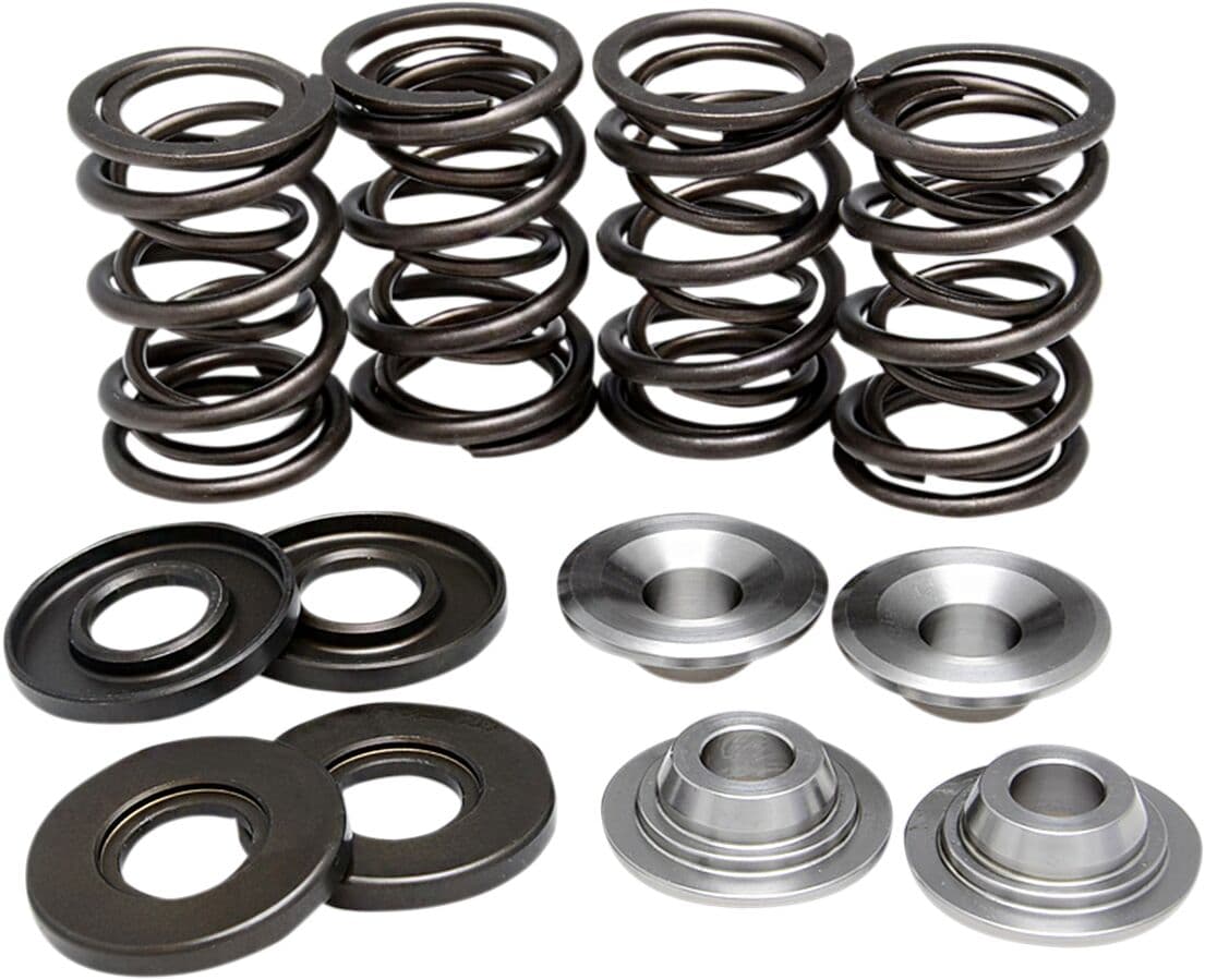 Valve Spring Kit