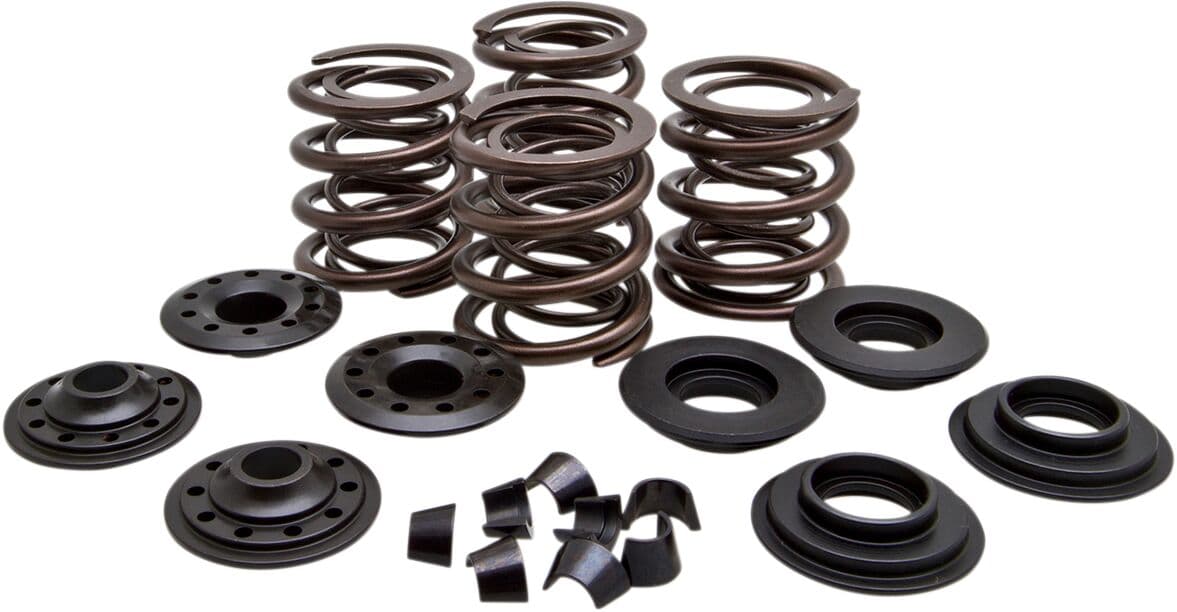 Racing Valve Spring Kit