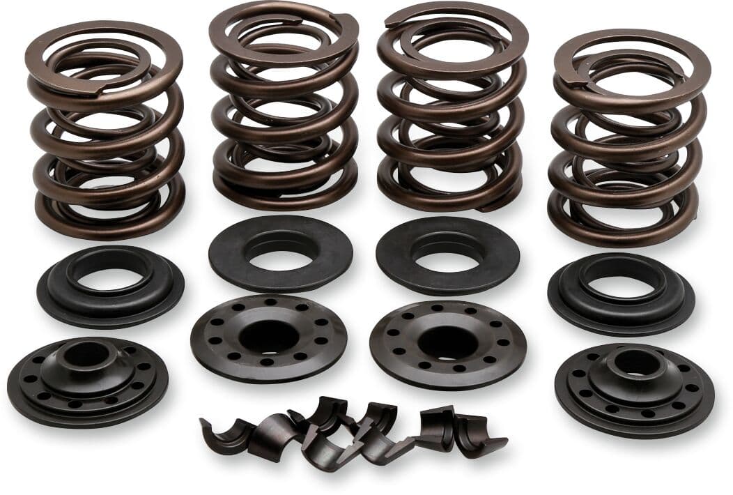 OEM Replacement Valve Spring Kit