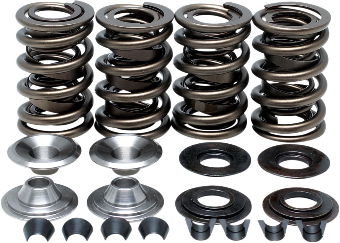 Racing Valve Spring Kit