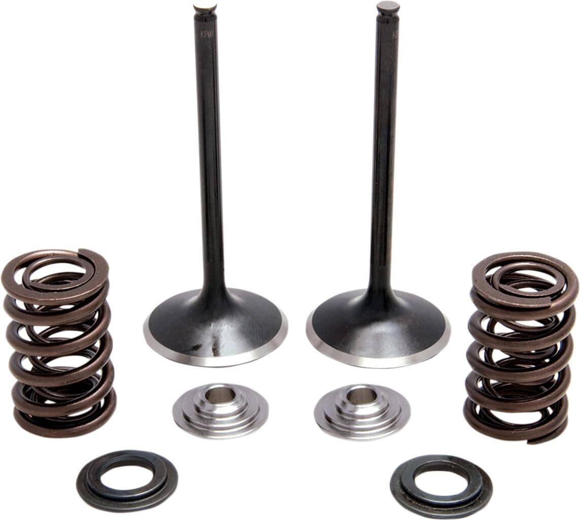 Intake Stainless Conversion Valve and Spring Kit