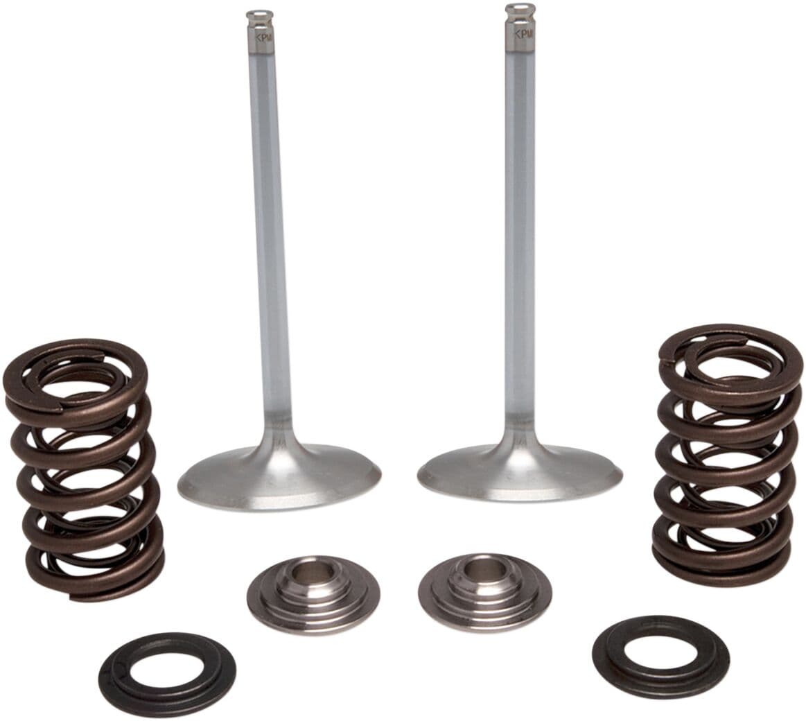 Intake Stainless Conversion Valve and Spring Kit