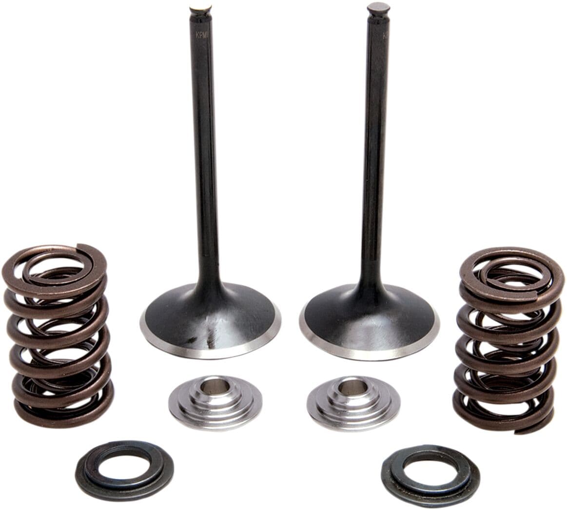 Intake Stainless Conversion Valve and Spring Kit