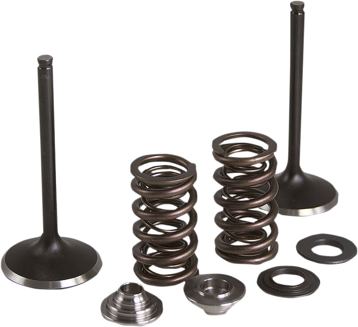 Intake Stainless Conversion Valve and Spring Kit