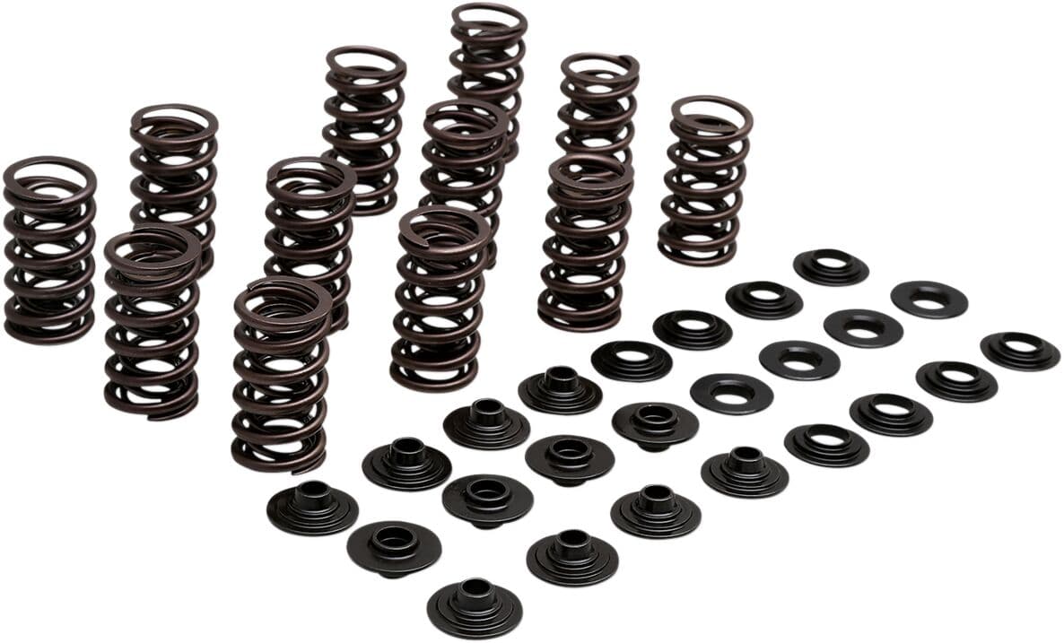 Lightweight Racing Valve Spring Kit