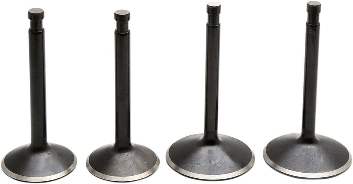 Black Diamond™ Engine Valve Kit