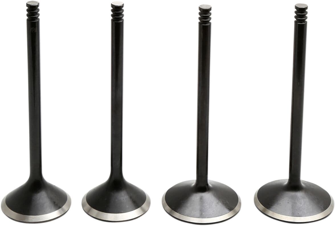 Black Diamond™ Engine Valve Kit