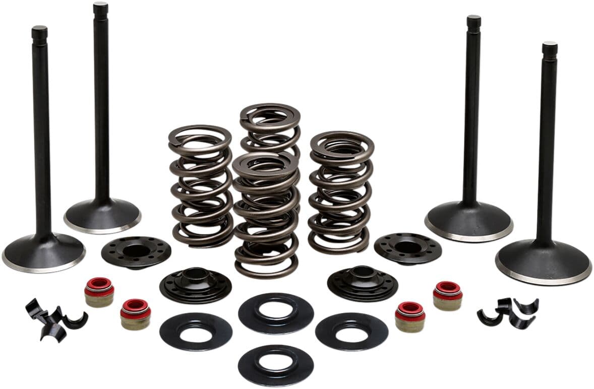 Engine Valve Kit