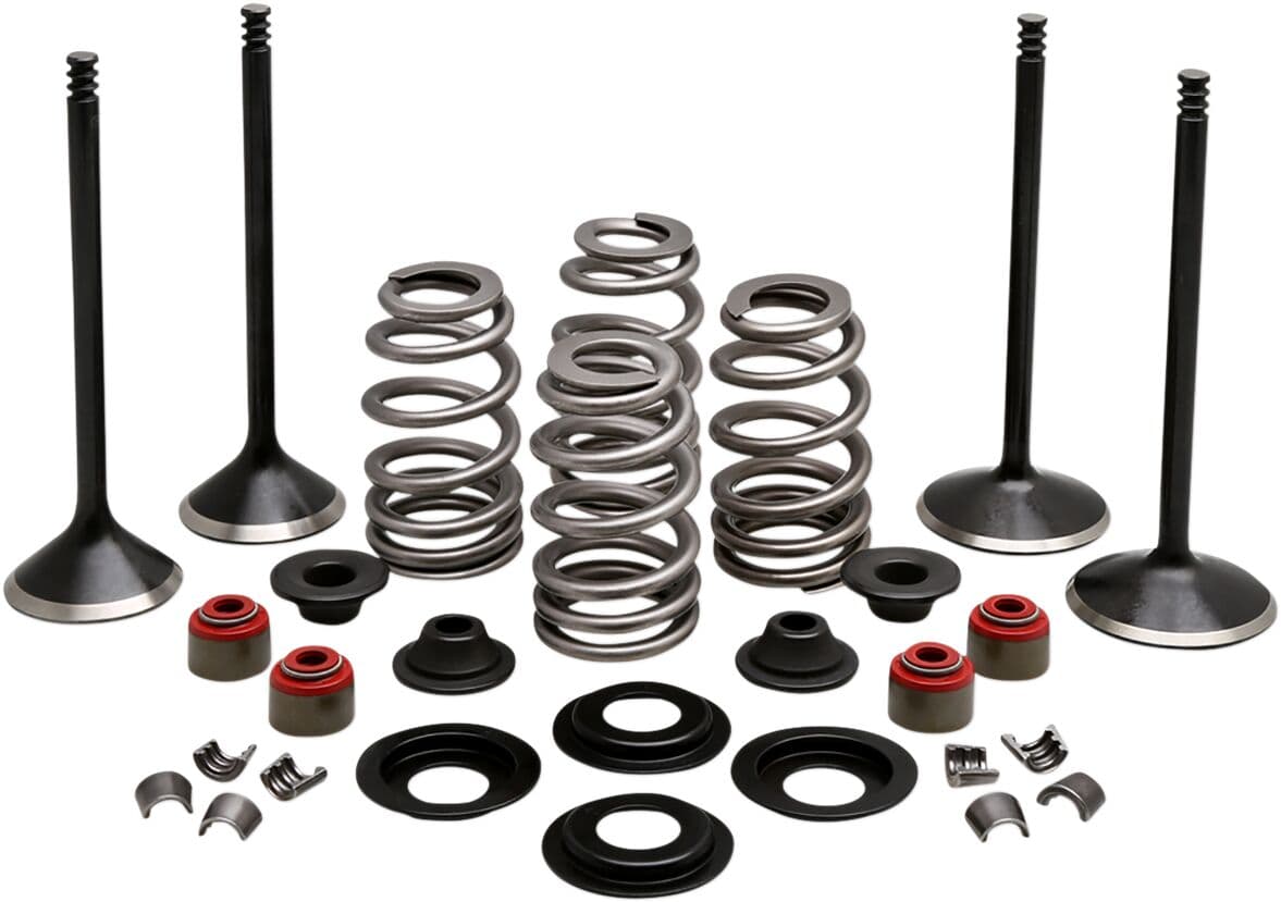 Engine Valve Kit