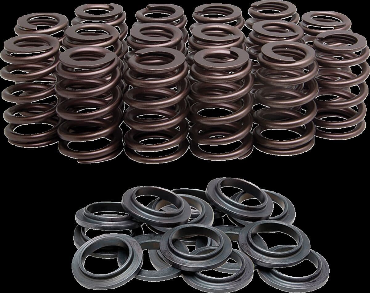 Beehive Valve Springs Only Kit