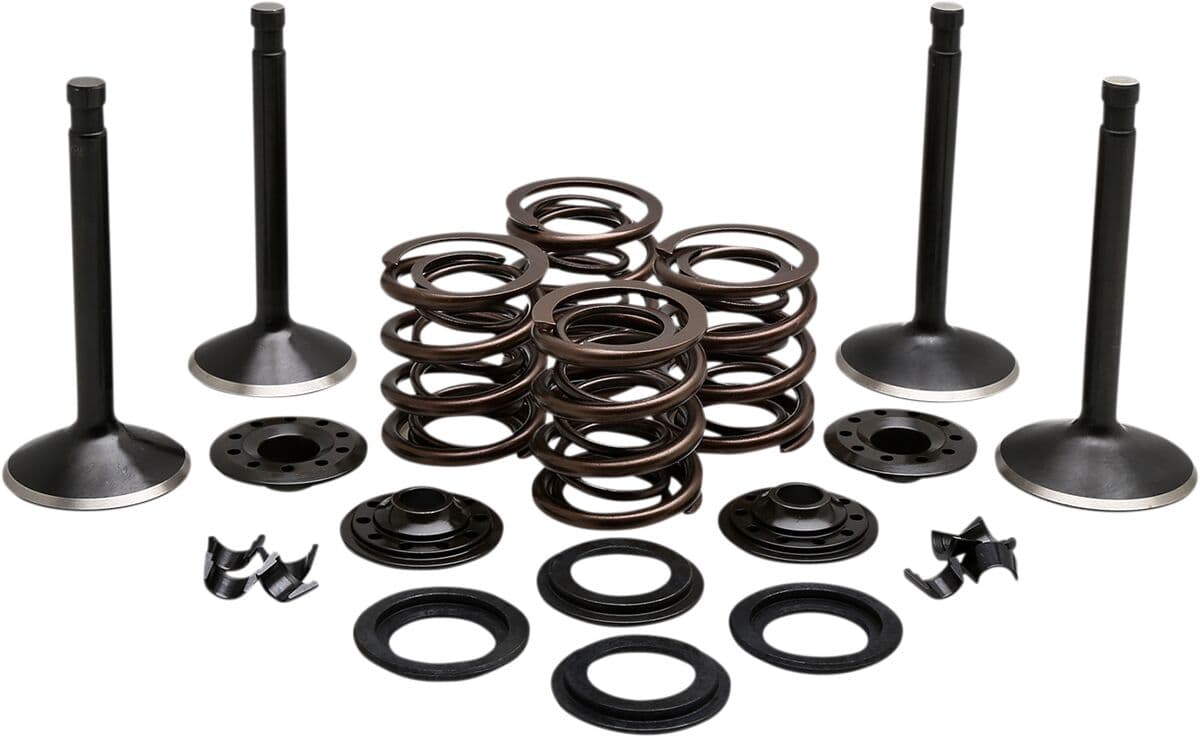 Engine Valve Kit
