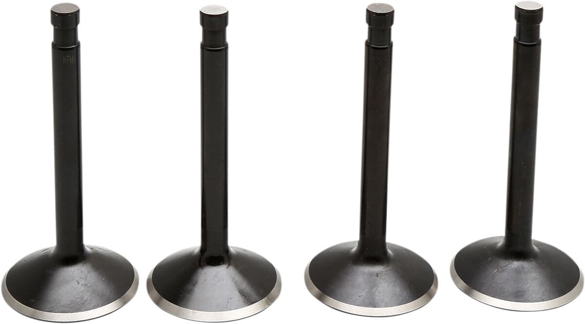 Black Diamond™ Engine Valve Kit