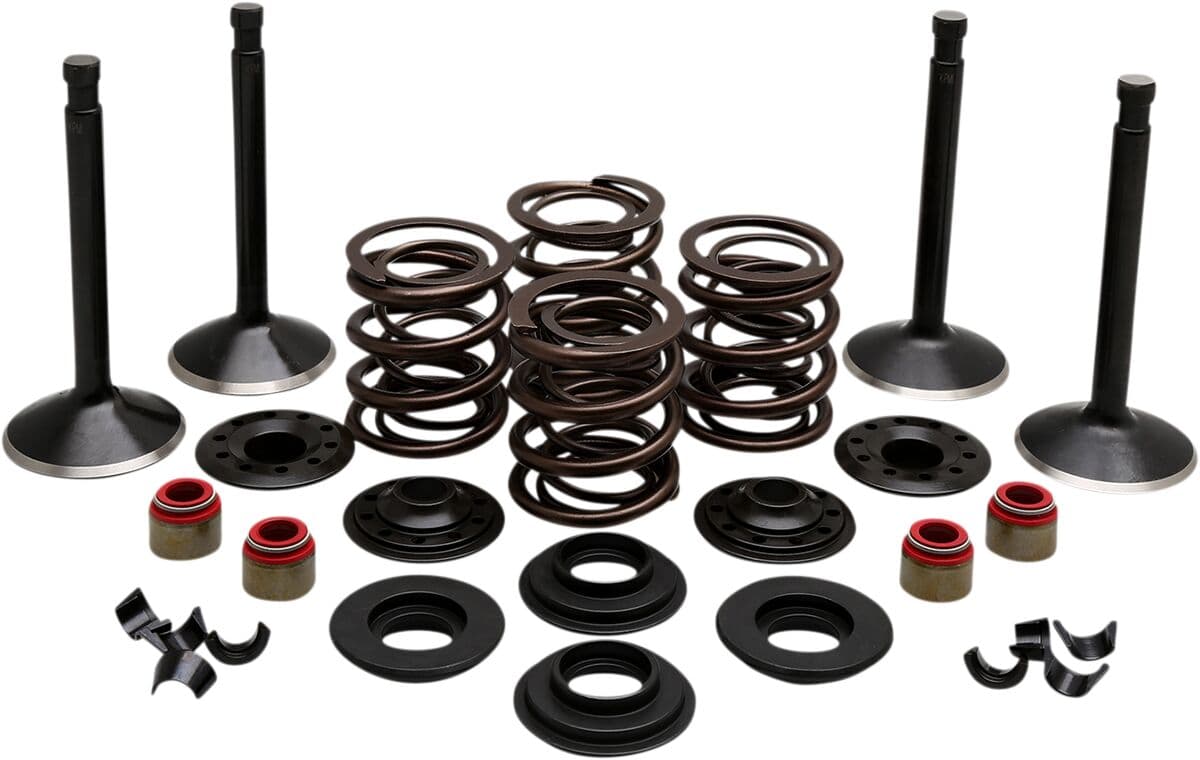 Engine Valve Kit