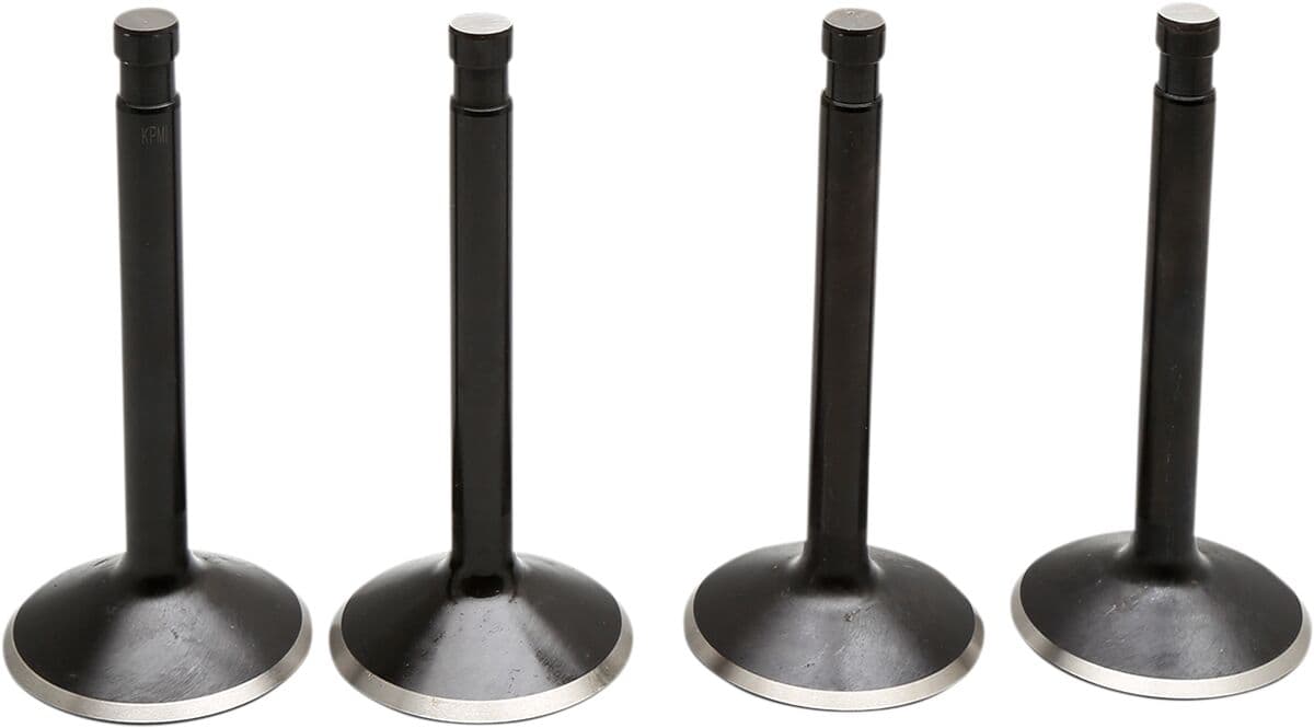 Black Diamond™ Engine Valve Kit