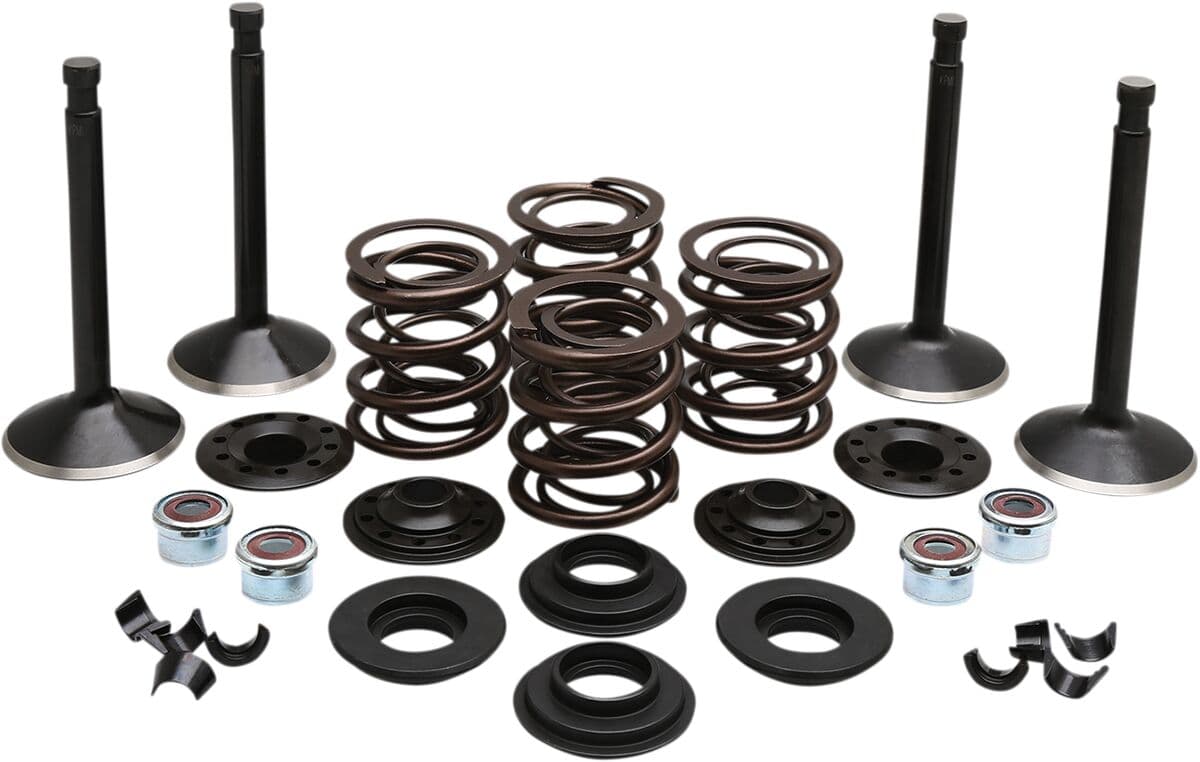 Engine Valve Kit