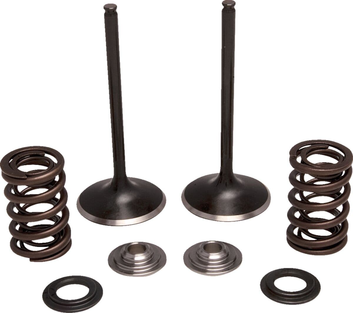 Intake Stainless Conversion Valve and Spring Kit