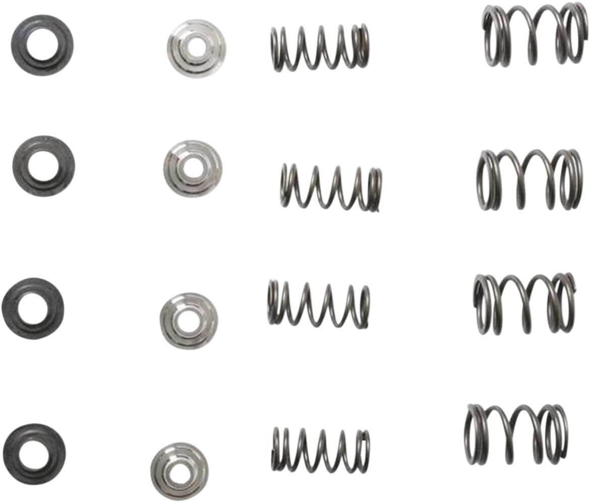 Valve Spring Kit