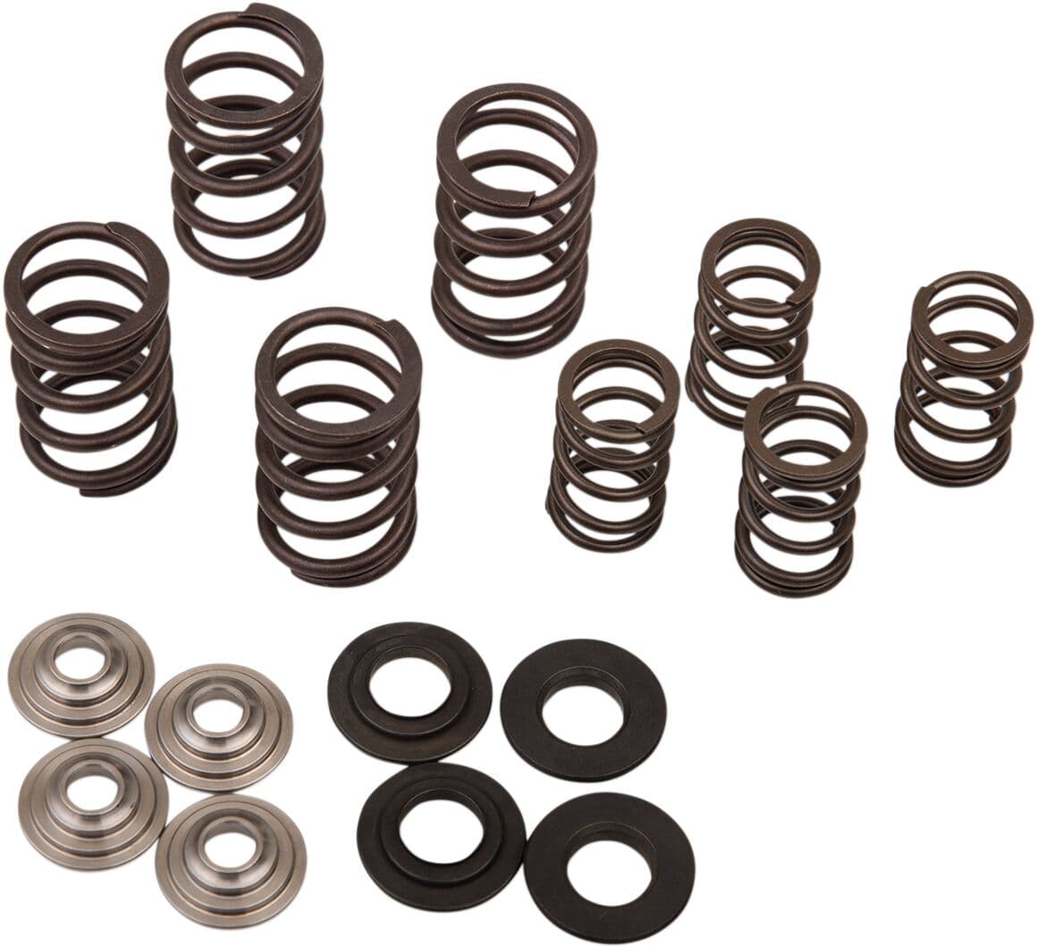 Valve Spring Kit