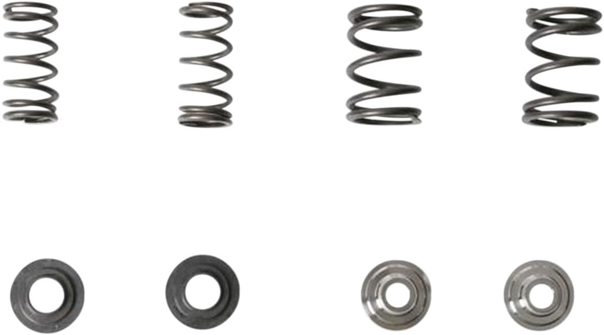 Lightweight Racing Valve Spring Kit