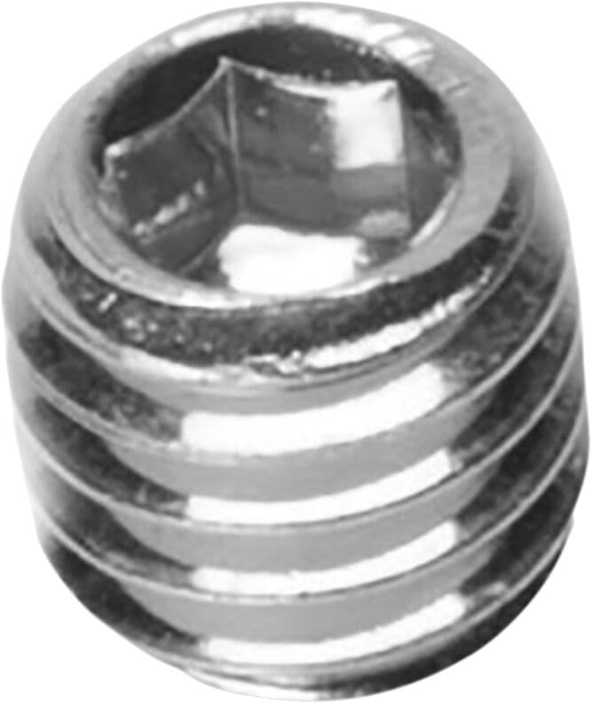 Securing Screw