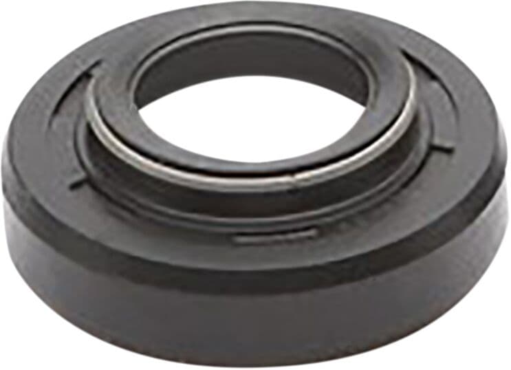 Dust Seal
