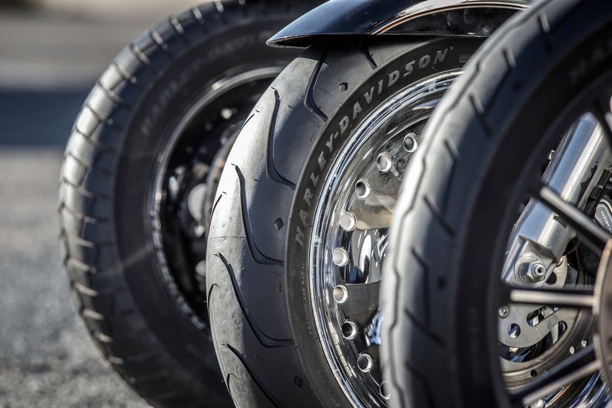 Thumbnail 13