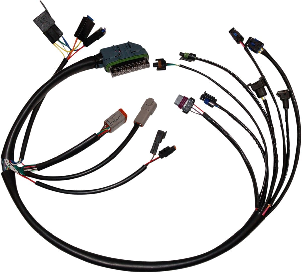 Complete EFI Wiring Harness